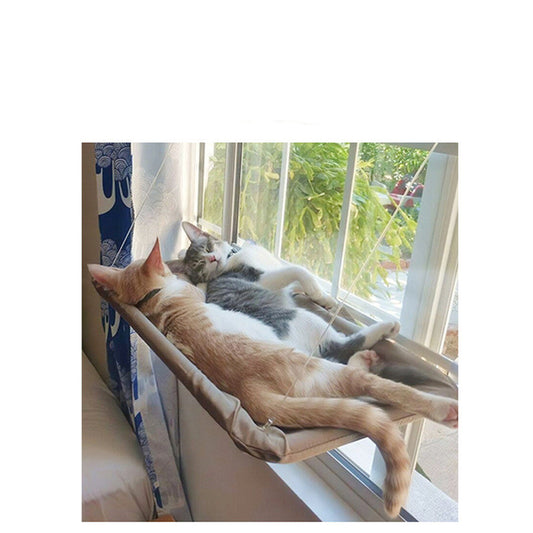Hamac Fenêtre pour Chat
