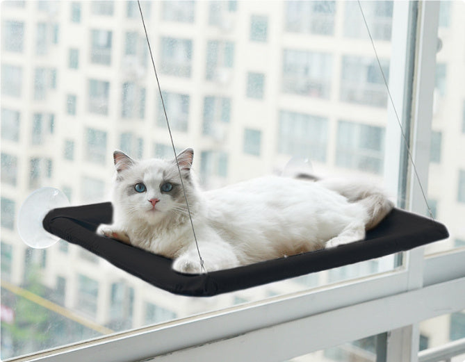 Hamac Fenêtre pour Chat